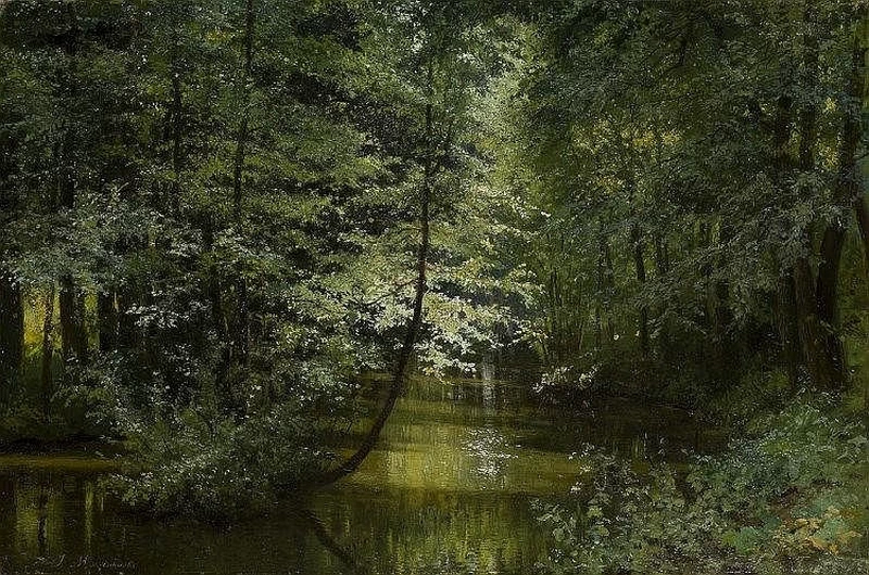 Fiume nella foresta